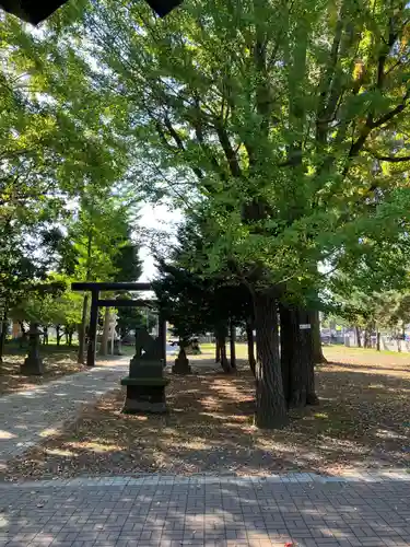 江南神社(北海道)