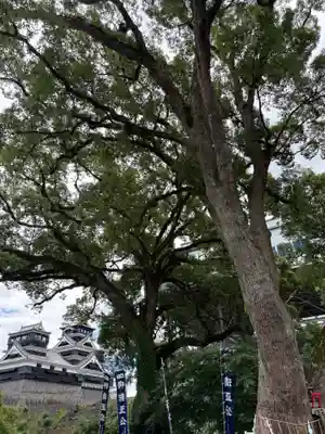 加藤神社(熊本県)