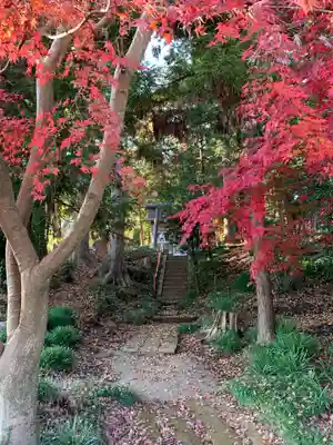 朝日神社の自然