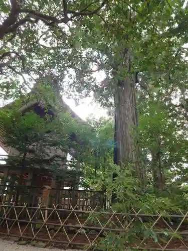 須佐神社(島根県)