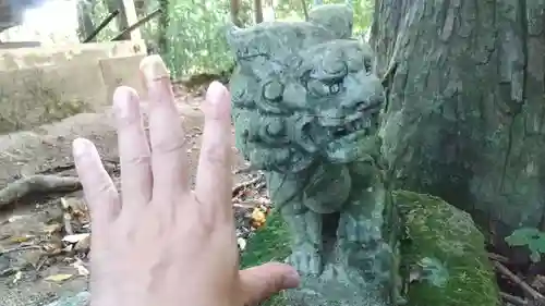 鹿嶋神社の狛犬