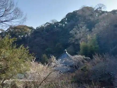 光則寺(神奈川県)