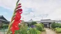 菩提寺の自然