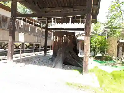 須賀神社(栃木県)