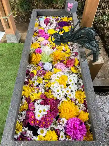 下野 星宮神社の手水舎