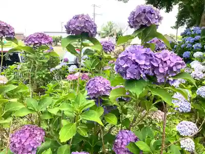 音楽寺(愛知県)