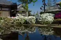 法雲寺のその他建物