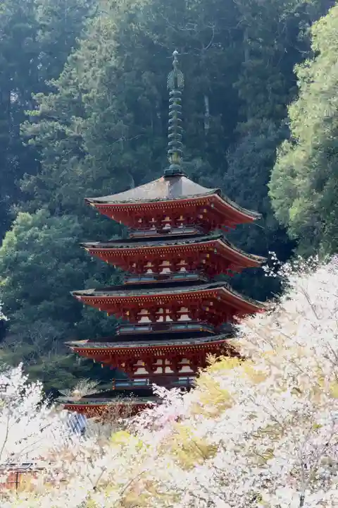 長谷寺(奈良県)