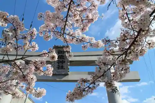 葛木御歳神社の鳥居