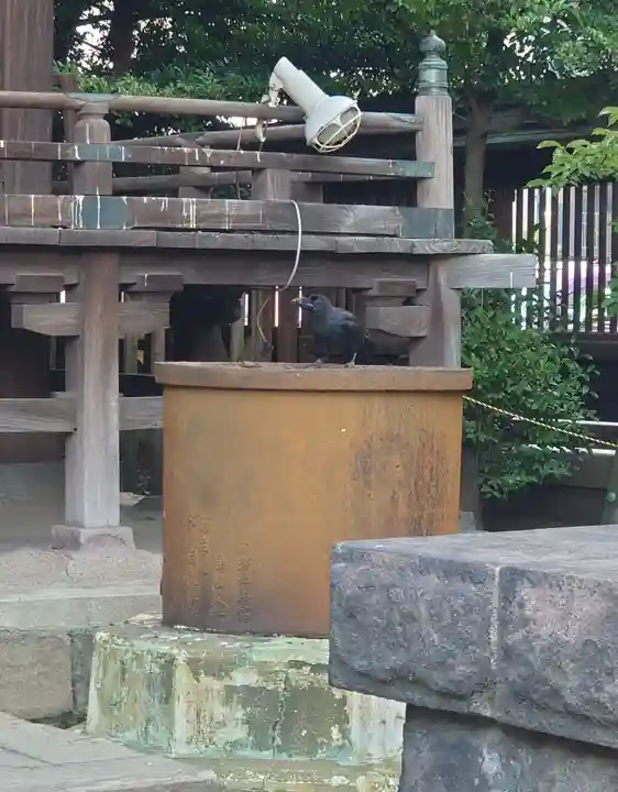 荏原神社(東京都)
