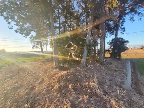 ネズミ観音(栃木県)