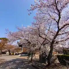 妙蓮寺(京都府)