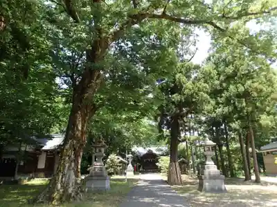 春日神社・井口神社のその他建物