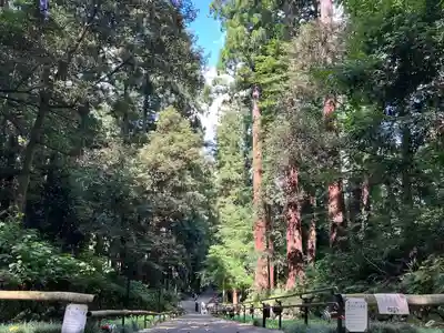瑞鳳殿(宮城県)