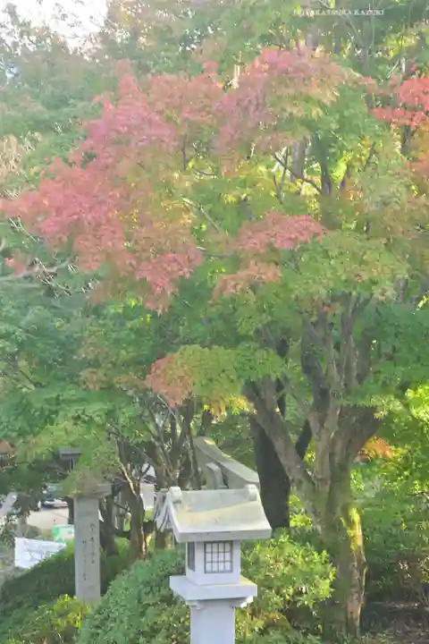 常陸国出雲大社(茨城県)