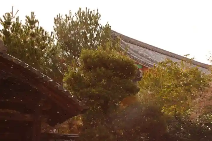 清凉寺(京都府)