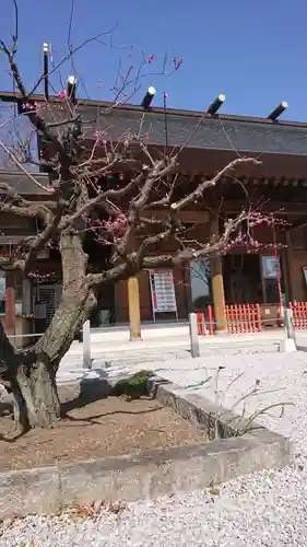 上里菅原神社の本殿