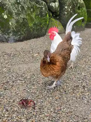 石上神宮(奈良県)