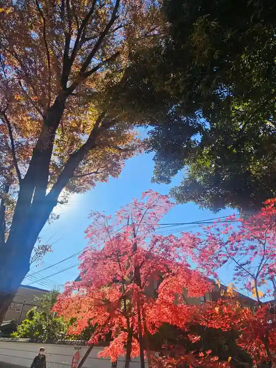 武蔵一宮氷川神社(埼玉県)