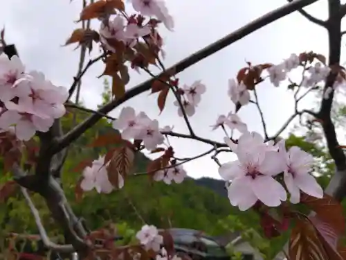雄山神社中宮祈願殿の{uncategorized: "未分類", other: "その他", undefined: "問題あり", building: "その他建物", grave: "お墓", sacred_gate: "鳥居", guardian: "狛犬", statue: "像", buddha: "仏像", history: "歴史", nature: "自然", garden: "庭園", animal: "動物", pagoda: "塔", temizu: "手水舎", mountain_gate: "山門・神門", sanctuary: "本殿・本堂", subordinate: "末社・摂社", art: "芸術", scenery: "景色", jizo: "地蔵", ema: "絵馬", goshuin: "御朱印", omikuji: "おみくじ", items: "授与品その他", amulet: "お守り", goshuincho: "御朱印帳", eats: "食事", festival: "お祭り", votive_dance: "神楽", shichigosan: "七五三参", wedding: "結婚式", experience: "体験その他", initially: "初詣", around: "周辺", anti_infection: "感染症対策"}
