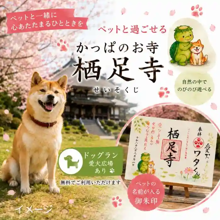 栖足寺