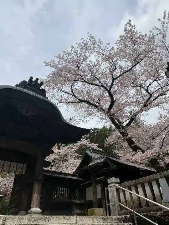 宇都宮二荒山神社の{uncategorized: "未分類", other: "その他", undefined: "問題あり", building: "その他建物", grave: "お墓", sacred_gate: "鳥居", guardian: "狛犬", statue: "像", buddha: "仏像", history: "歴史", nature: "自然", garden: "庭園", animal: "動物", pagoda: "塔", temizu: "手水舎", mountain_gate: "山門・神門", sanctuary: "本殿・本堂", subordinate: "末社・摂社", art: "芸術", scenery: "景色", jizo: "地蔵", ema: "絵馬", goshuin: "御朱印", omikuji: "おみくじ", items: "授与品その他", amulet: "お守り", goshuincho: "御朱印帳", eats: "食事", festival: "お祭り", votive_dance: "神楽", shichigosan: "七五三参", wedding: "結婚式", experience: "体験その他", initially: "初詣", around: "周辺", anti_infection: "感染症対策"}