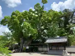 粉河寺の自然