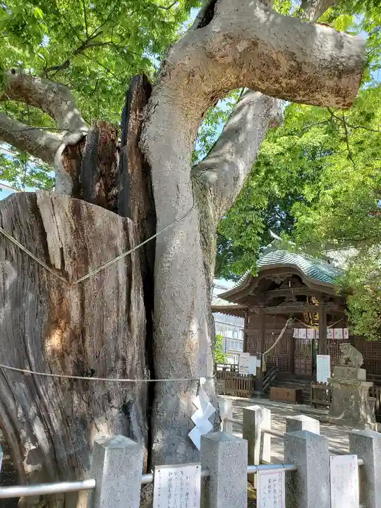 阿邪訶根神社のその他建物