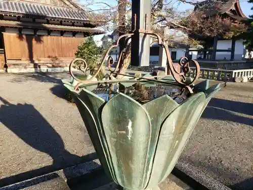 大通寺（長浜御坊）(滋賀県)