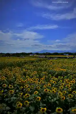 座間神社(神奈川県)
