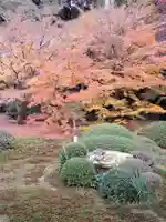 雲龍院(京都府)