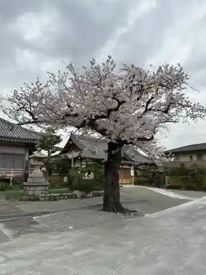 弘誓院(神奈川県)