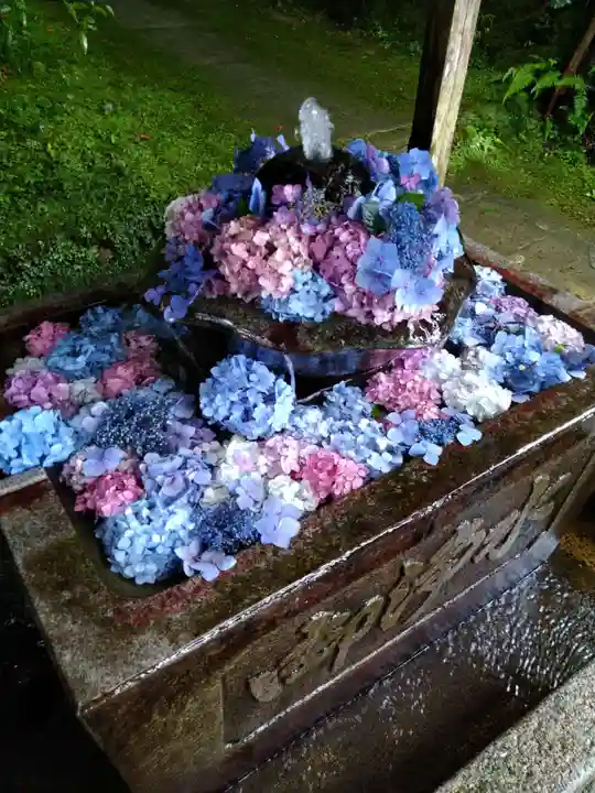 観音寺の手水舎