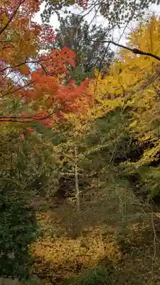 三宅八幡宮(京都府)