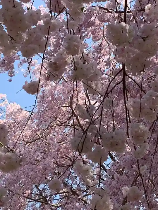 久延彦神社(奈良県)