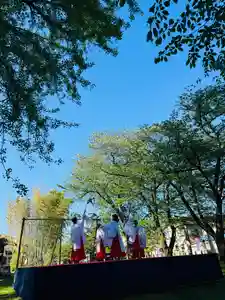 守りの神 藤基神社(新潟県)(2026年05月10日(日) 21時17分34秒投稿)