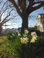 住吉神社(兵庫県)