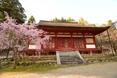 談山神社(奈良県)