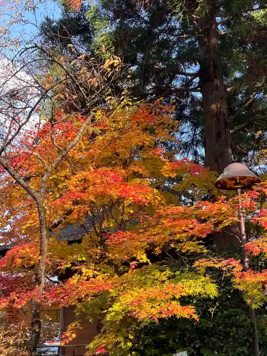 聖福寺(岩手県)