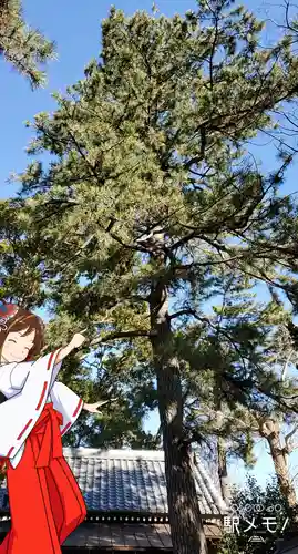 神明社(千葉県)