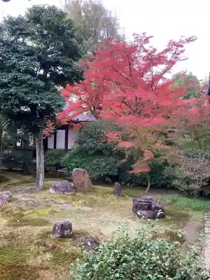 建仁寺（建仁禅寺）(京都府)