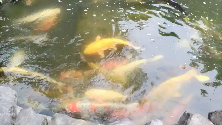 長安寺(群馬県)