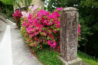 𠮷水神社（吉水神社）のその他建物