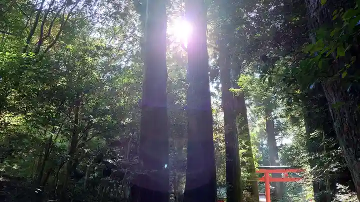 箱根神社(神奈川県)