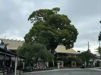 伊勢原大神宮(神奈川県)