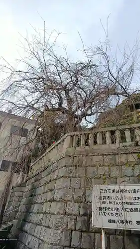 根岸八幡神社の歴史