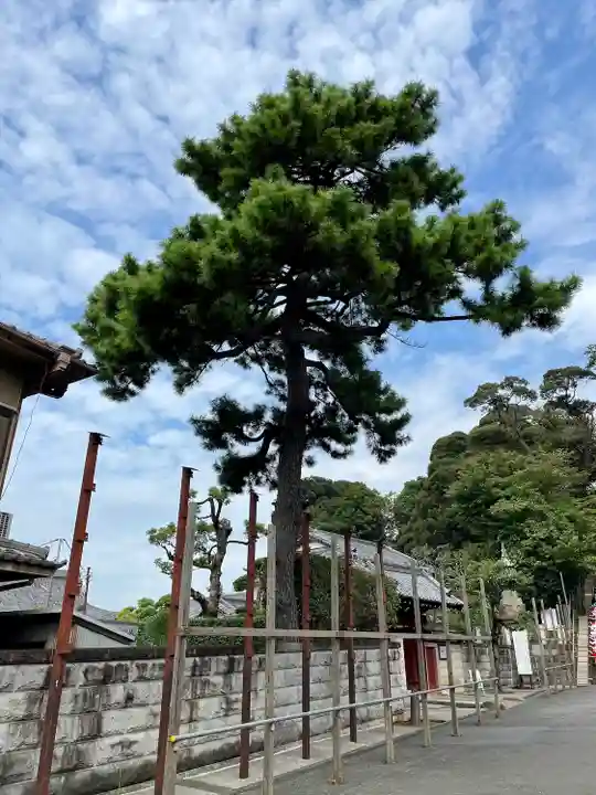 理境院(東京都)