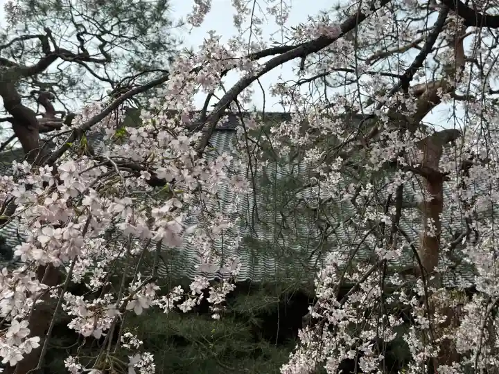 中院の{uncategorized: "未分類", other: "その他", undefined: "問題あり", building: "その他建物", grave: "お墓", sacred_gate: "鳥居", guardian: "狛犬", statue: "像", buddha: "仏像", history: "歴史", nature: "自然", garden: "庭園", animal: "動物", pagoda: "塔", temizu: "手水舎", mountain_gate: "山門・神門", sanctuary: "本殿・本堂", subordinate: "末社・摂社", art: "芸術", scenery: "景色", jizo: "地蔵", ema: "絵馬", goshuin: "御朱印", omikuji: "おみくじ", items: "授与品その他", amulet: "お守り", goshuincho: "御朱印帳", eats: "食事", festival: "お祭り", votive_dance: "神楽", shichigosan: "七五三参", wedding: "結婚式", experience: "体験その他", initially: "初詣", around: "周辺", anti_infection: "感染症対策"}