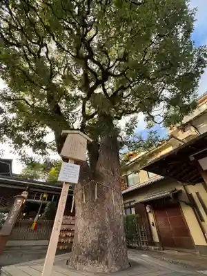 晴明神社(京都府)