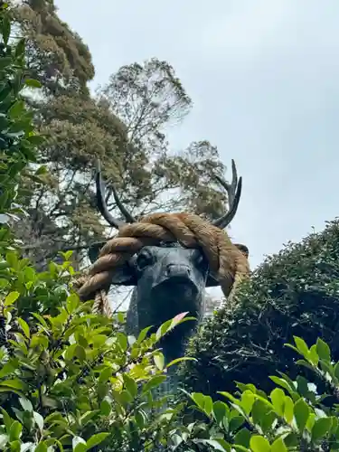 安養寺（立木観音）(滋賀県)